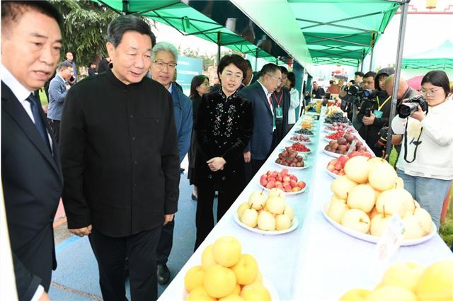 11262841714573378_33.jpg 11262841714573378_33.jpg