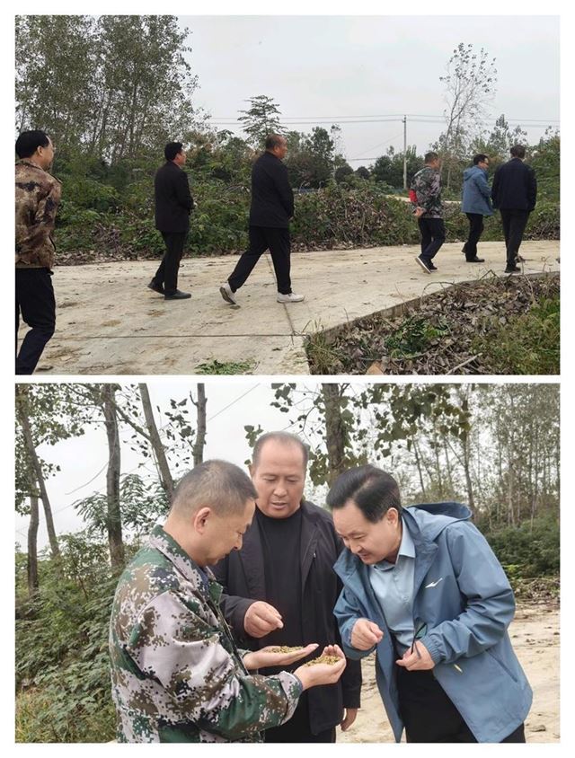 18241711287623286_33.jpg 18241711287623286_33.jpg